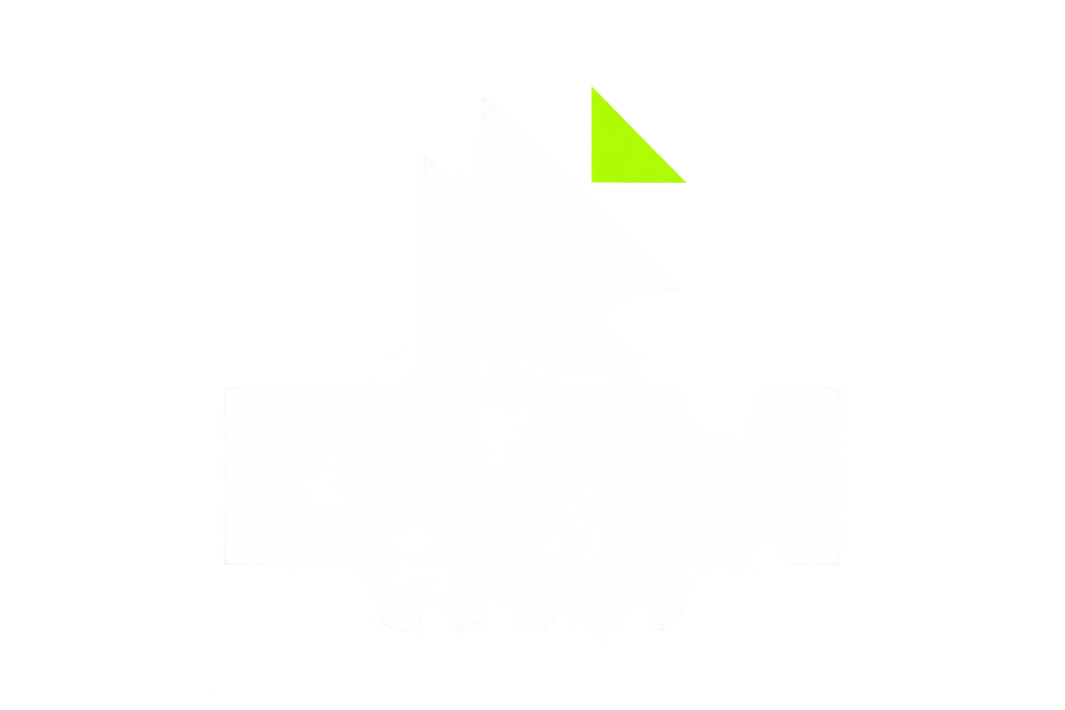 DVM Group
